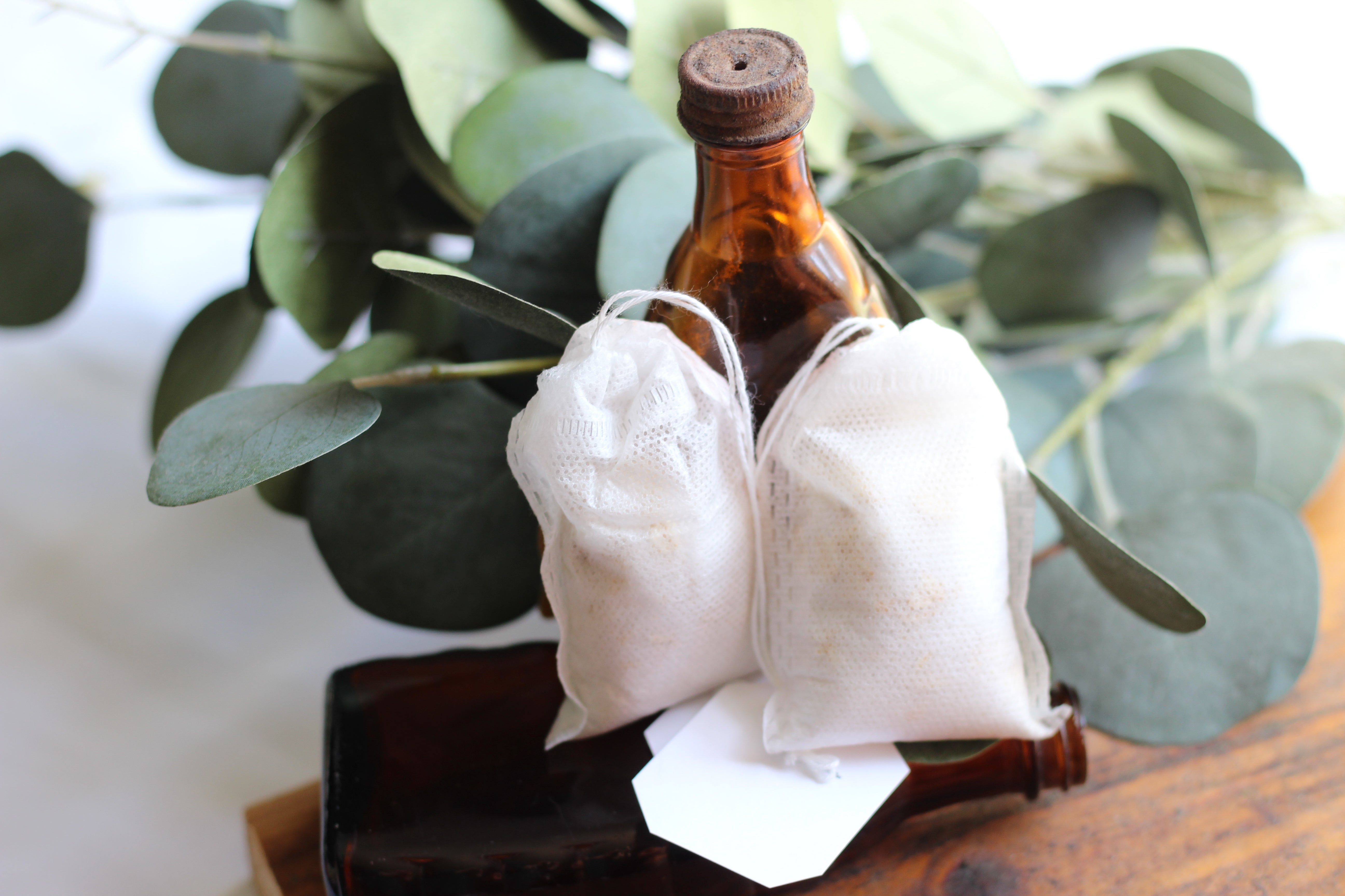 Eucalyptus Mint Bath Tea Bags – Kilted Suds